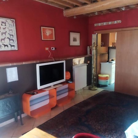 Loft 70 Daire Montescudaio Dış mekan fotoğraf